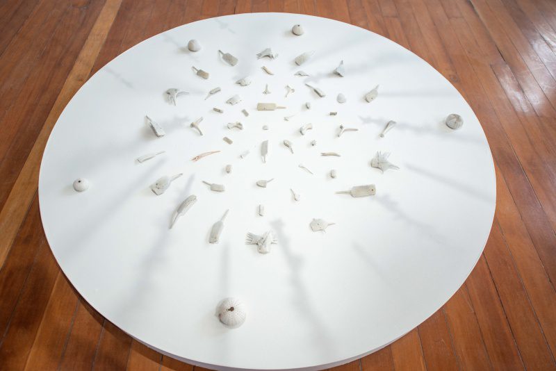 Exposição na Mucane terá roda de conversa nesta terça (21)
