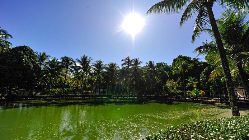 Parque da Fazendinha em Jardim Camburi é reaberto para visitação após vistoria