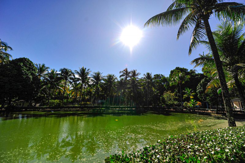 Parque da Fazendinha em Jardim Camburi é reaberto para visitação após vistoria